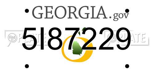 5I87229 Georgia License Plate