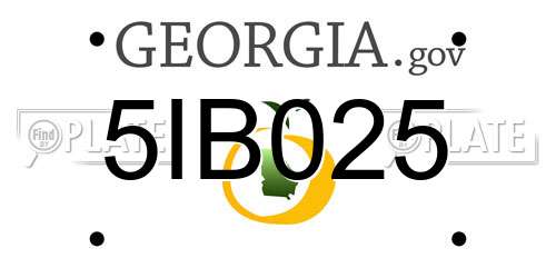 5IB025 Georgia License Plate