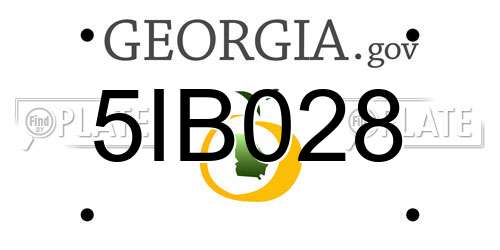 5IB028 Georgia License Plate