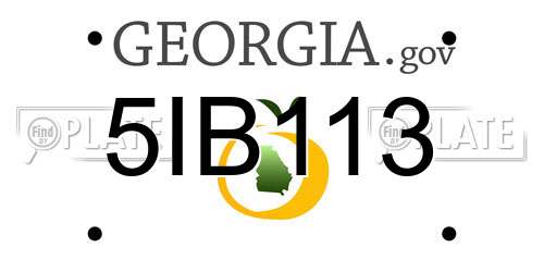 5IB113 Georgia License Plate