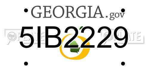 5IB2229 Georgia License Plate