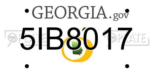 5IB8017 Georgia License Plate