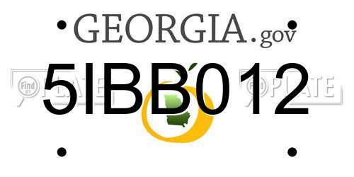 5IBB012 Georgia License Plate