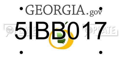 5IBB017 Georgia License Plate