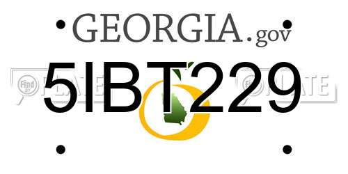 5IBT229 Georgia License Plate