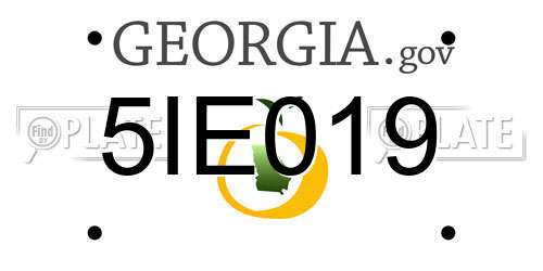 5IE019 Georgia License Plate