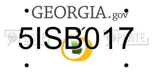 5ISB017 Georgia License Plate