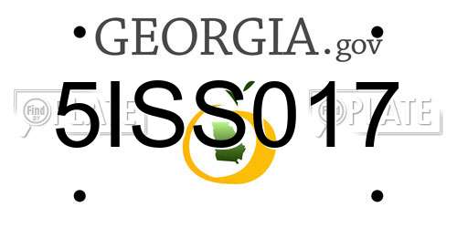 5ISS017 Georgia License Plate