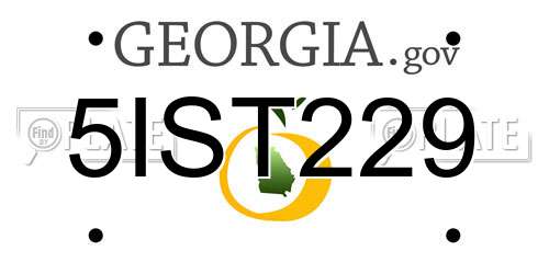 5IST229 Georgia License Plate