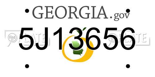 5J13656 Georgia License Plate