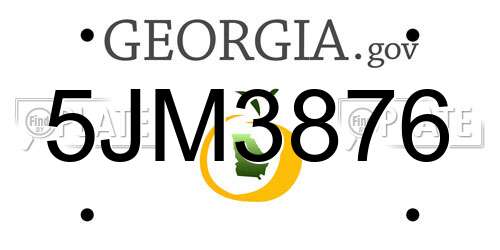 5JM3876 Georgia License Plate