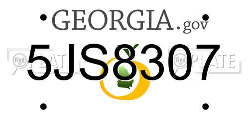 5JS8307 Georgia License Plate