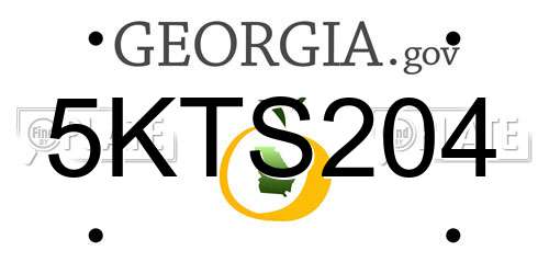 5KTS204 Georgia License Plate