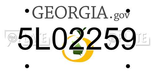 5L02259 Georgia License Plate