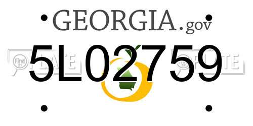 5L02759 Georgia License Plate