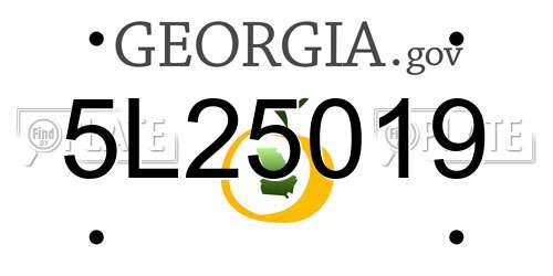 5L25019 Georgia License Plate