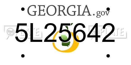 5L25642 Georgia License Plate