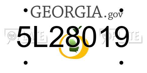 5L28019 Georgia License Plate