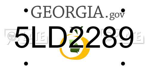 5LD2289 Georgia License Plate