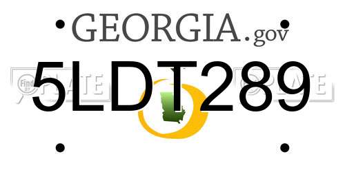 5LDT289 Georgia License Plate