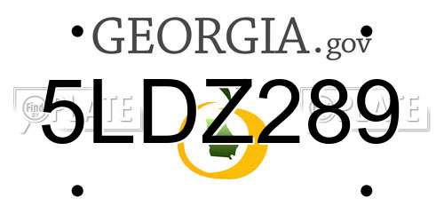 5LDZ289 Georgia License Plate