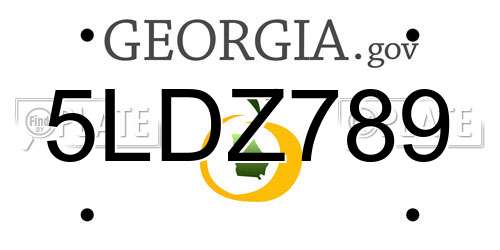 5LDZ789 Georgia License Plate