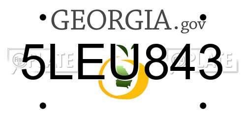 5LEU843 Georgia License Plate