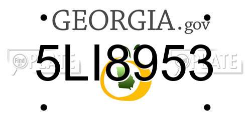 5LI8953 Georgia License Plate
