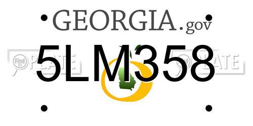 5LM358 Georgia License Plate
