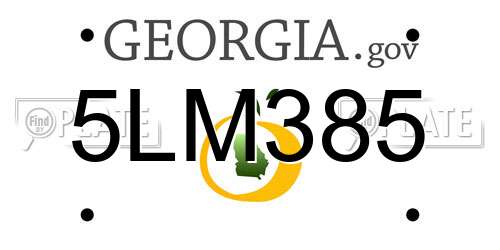 5LM385 Georgia License Plate