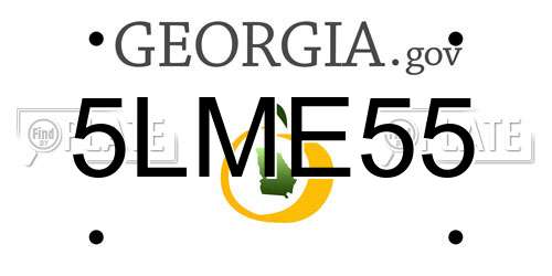 5LME55 Georgia License Plate