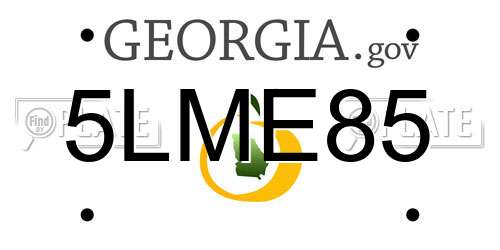5LME85 Georgia License Plate