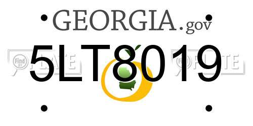 5LT8019 Georgia License Plate