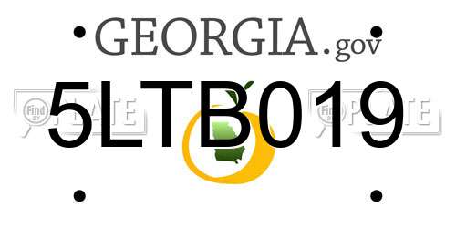 5LTB019 Georgia License Plate