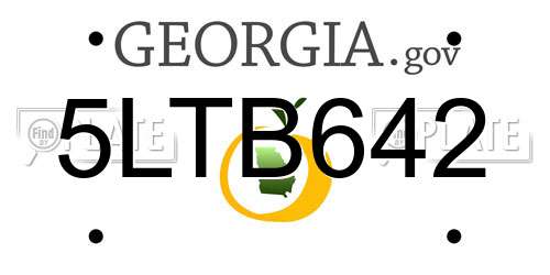 5LTB642 Georgia License Plate