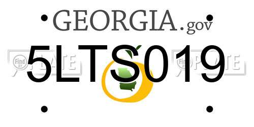 5LTS019 Georgia License Plate