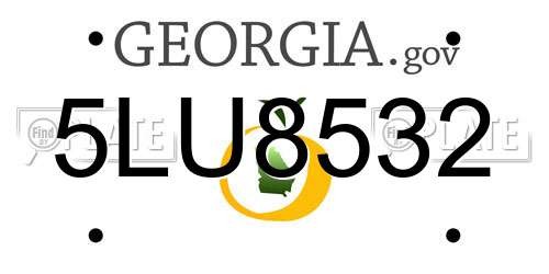 5LU8532 Georgia License Plate
