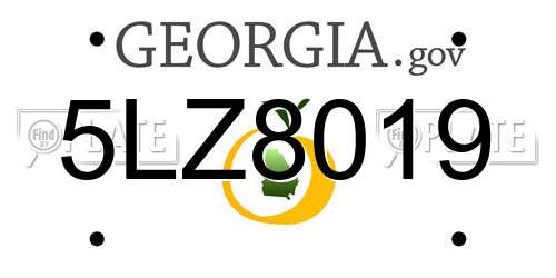 5LZ8019 Georgia License Plate