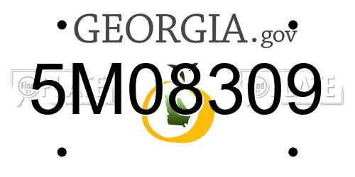 5M08309 Georgia License Plate