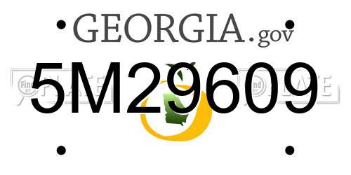 5M29609 Georgia License Plate