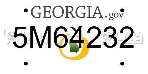 5M64232 Georgia License Plate