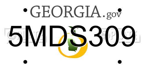 5MDS309 Georgia License Plate