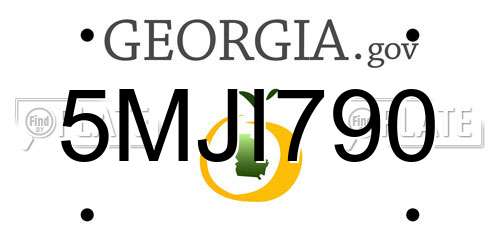 5MJI790 Georgia License Plate