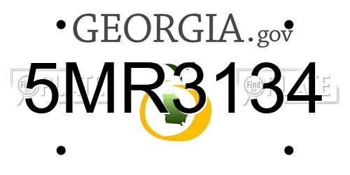 5MR3134 Georgia License Plate