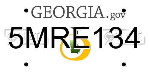 5MRE134 Georgia License Plate