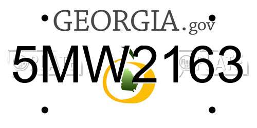 5MW2163 Georgia License Plate