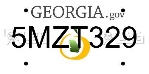 5MZT329 Georgia License Plate