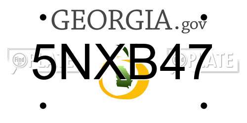 5NXB47 Georgia License Plate