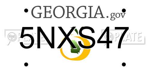 5NXS47 Georgia License Plate