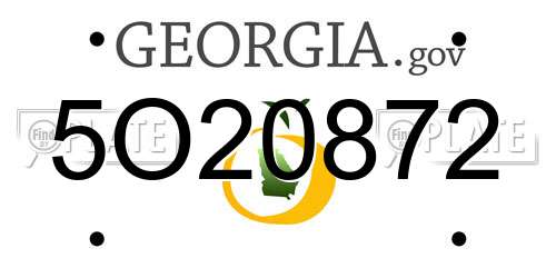 5O20872 Georgia License Plate